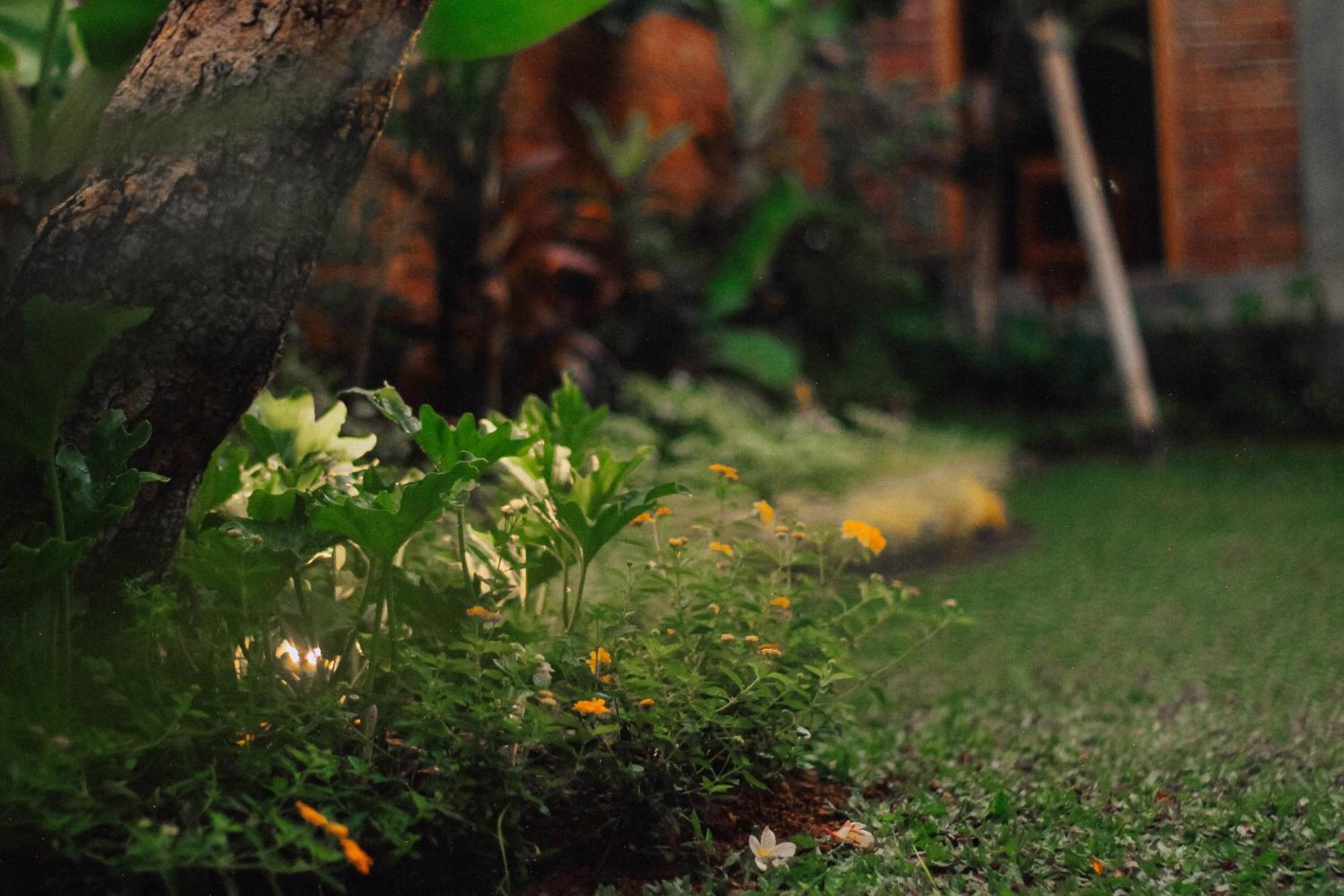 Govardan Home Stay Canggu Buitenkant foto
